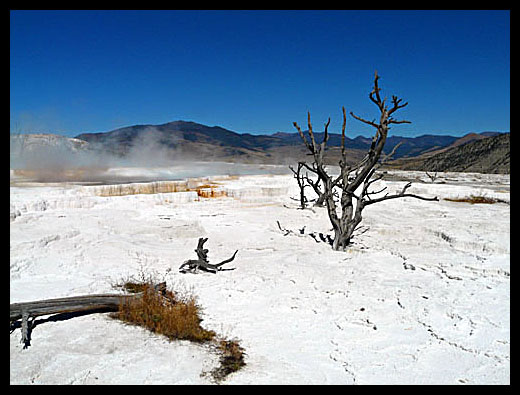 mammoth hot springs